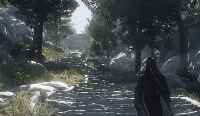 image11.gif